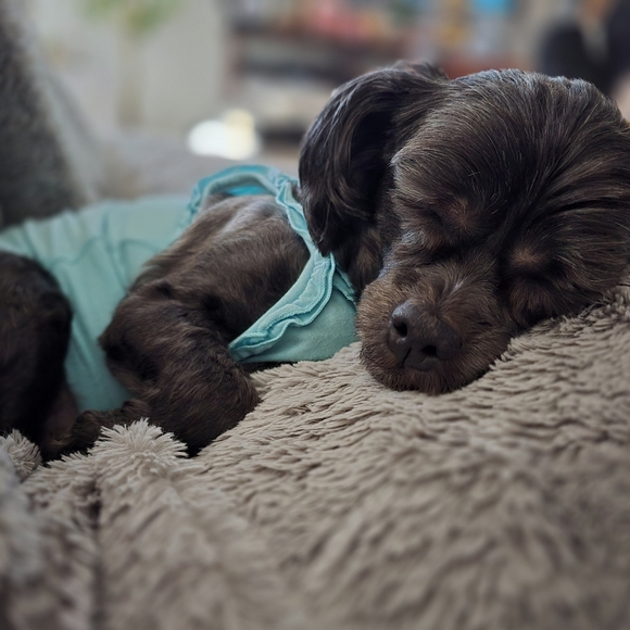 Say Hello To My Little Friends 🫏🫏 - Picture 6 of 6